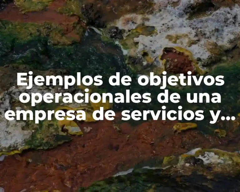 Ejemplos de objetivos operacionales de una empresa de servicios y Significado
