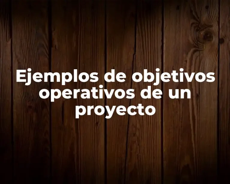 Ejemplos de objetivos operativos de un proyecto