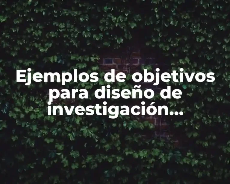 Ejemplos de objetivos para diseño de investigación documental y Significado