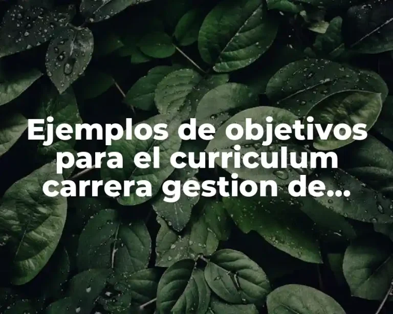 Ejemplos de objetivos para el curriculum carrera gestion de proyectos