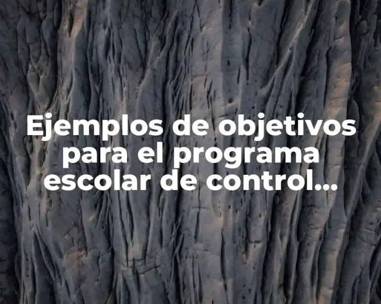 Ejemplos de objetivos para el programa escolar de control escolar y Significado
