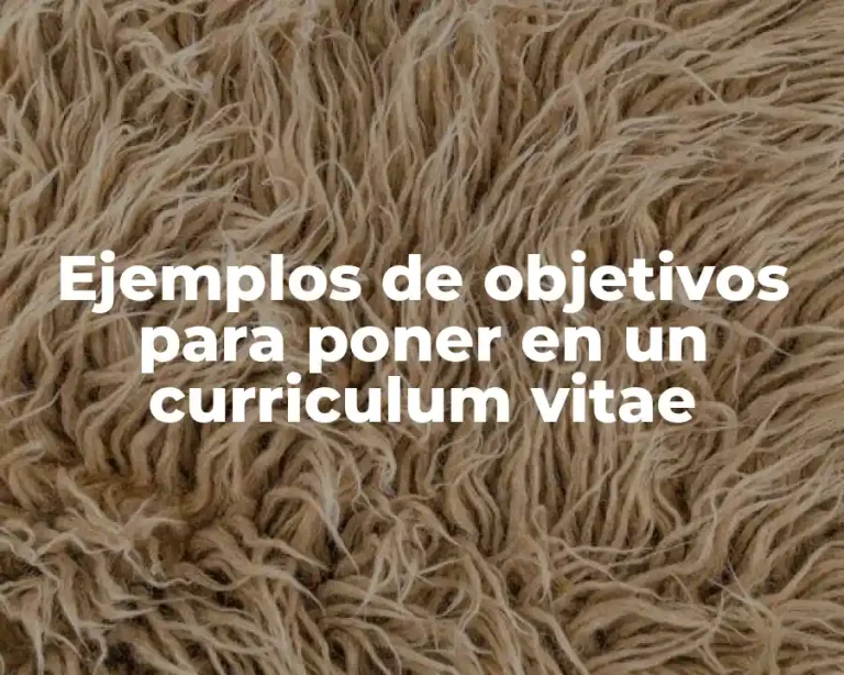 Ejemplos de objetivos para poner en un curriculum vitae