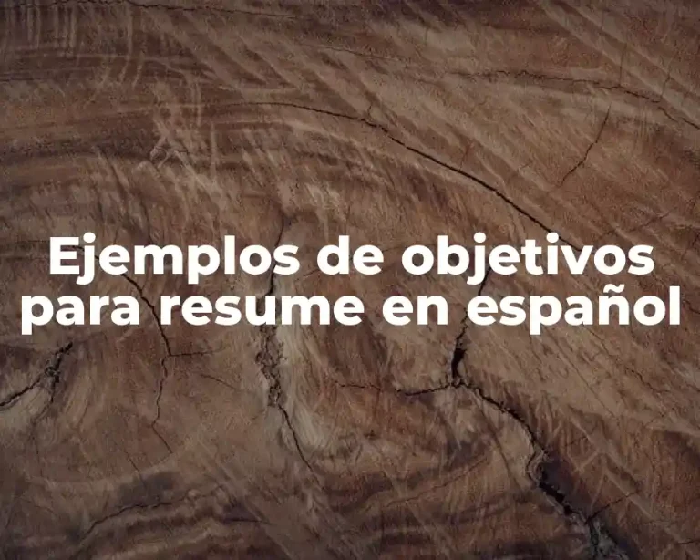 Ejemplos de objetivos para resume en español
