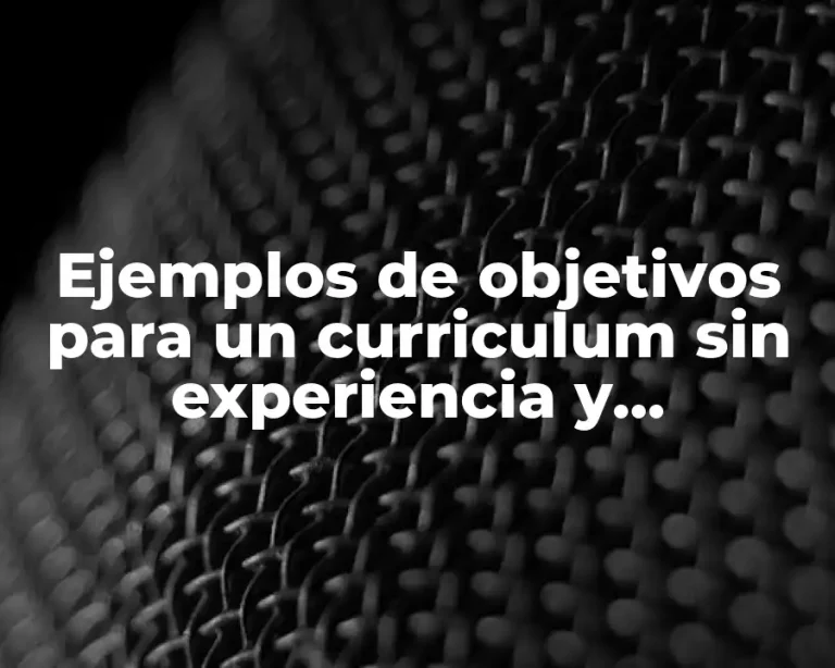 Ejemplos de objetivos para un curriculum sin experiencia y Significado