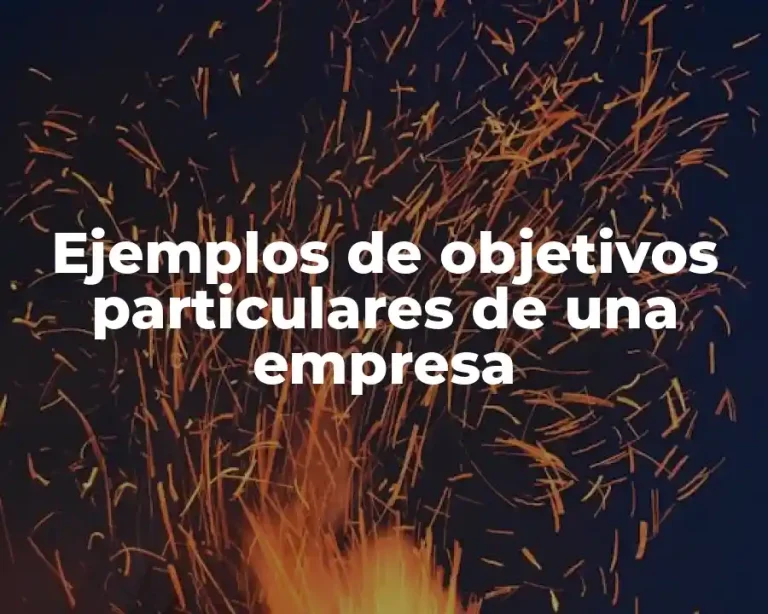 Ejemplos de objetivos particulares de una empresa