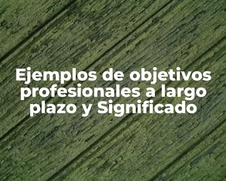 Ejemplos de objetivos profesionales a largo plazo y Significado