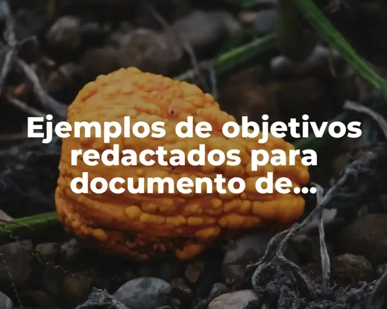 Ejemplos de objetivos redactados para documento de anatomía y fisiología y Significado