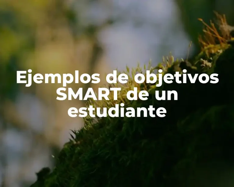 Ejemplos de objetivos SMART de un estudiante