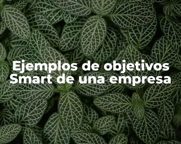 Ejemplos de objetivos Smart de una empresa