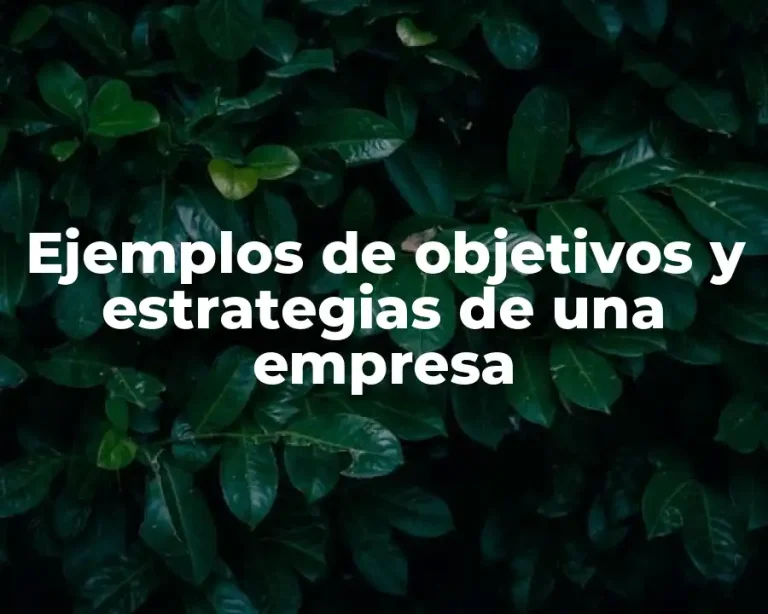 Ejemplos de objetivos y estrategias de una empresa