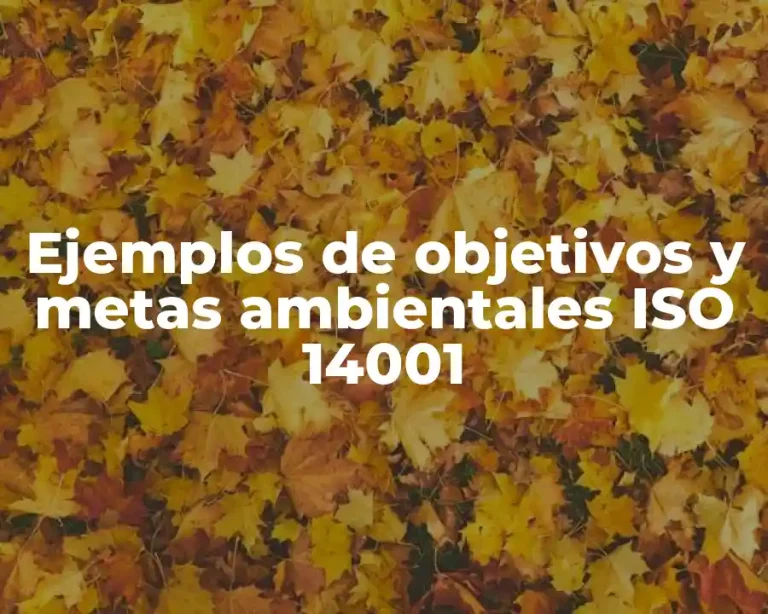 Ejemplos de objetivos y metas ambientales ISO 14001