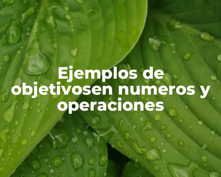 Ejemplos de objetivosen numeros y operaciones