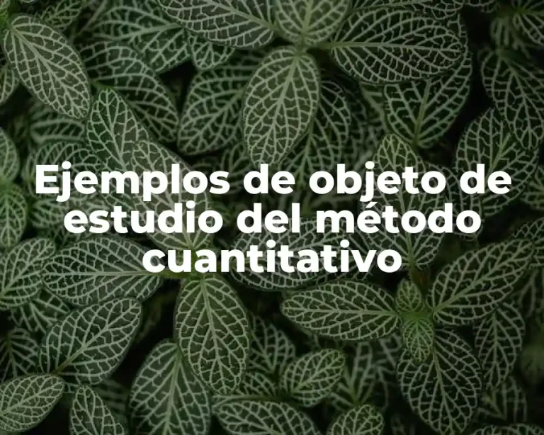 Ejemplos de objeto de estudio del método cuantitativo