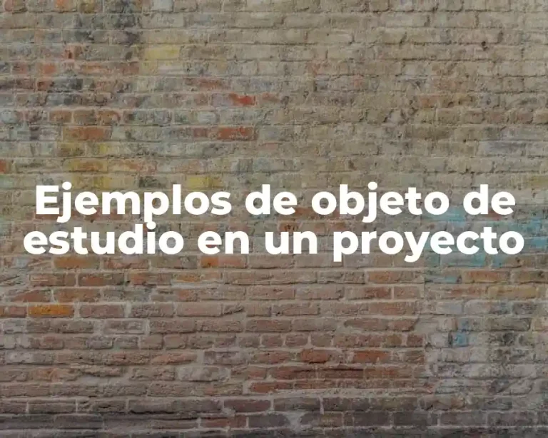 Ejemplos de objeto de estudio en un proyecto