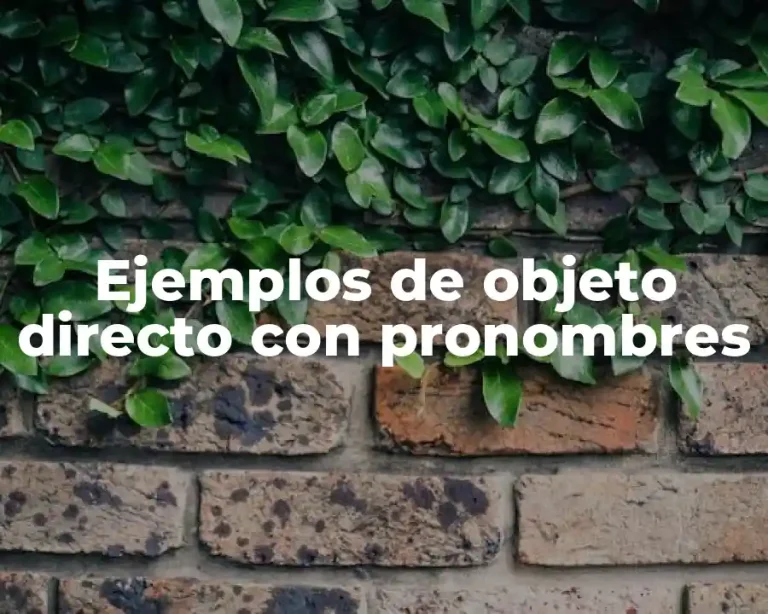 Ejemplos de objeto directo con pronombres