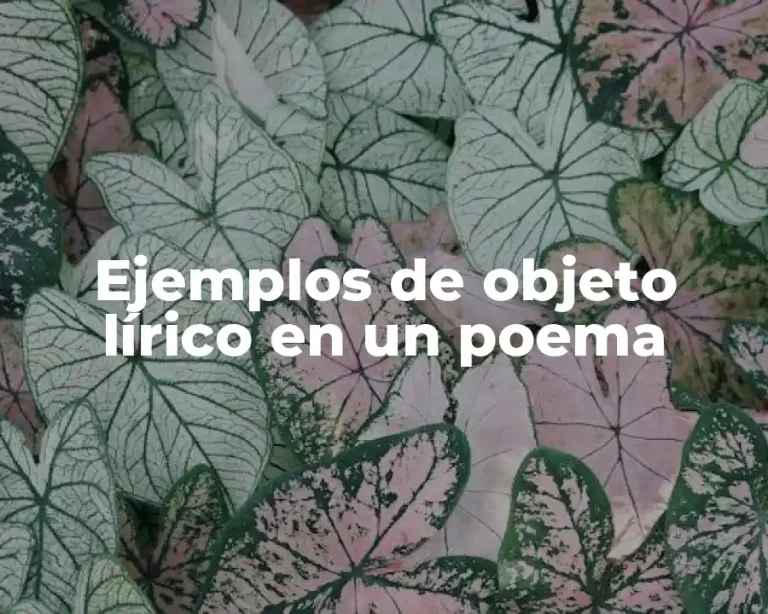 Ejemplos de objeto lírico en un poema