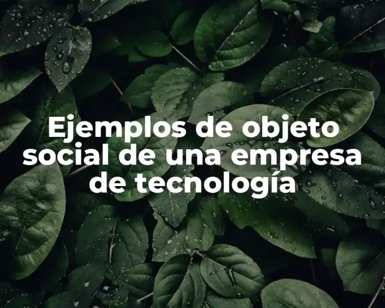 Ejemplos de objeto social de una empresa de tecnología