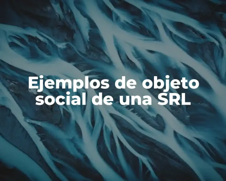 Ejemplos de objeto social de una SRL