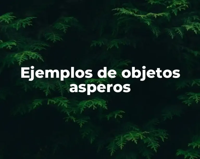 Ejemplos de objetos asperos