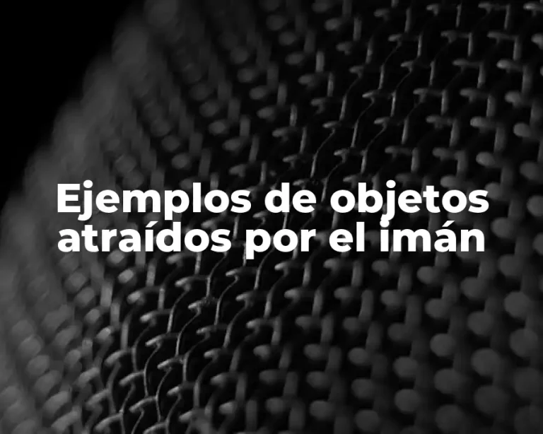 Ejemplos de objetos atraídos por el imán