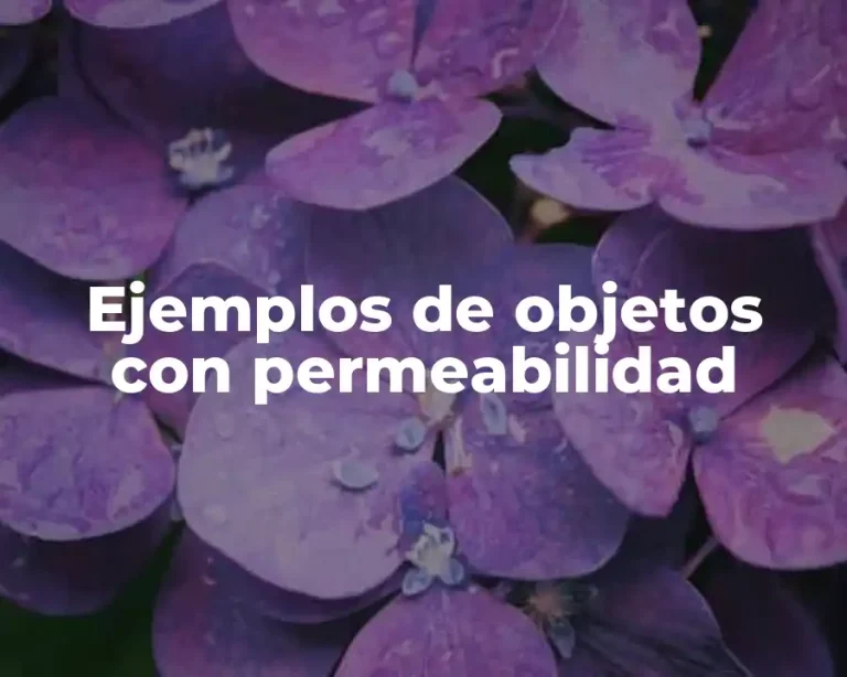 Ejemplos de objetos con permeabilidad
