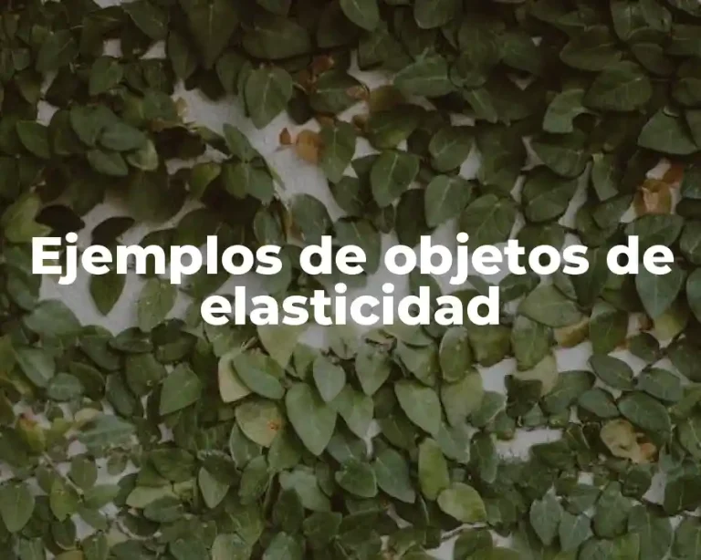Ejemplos de objetos de elasticidad