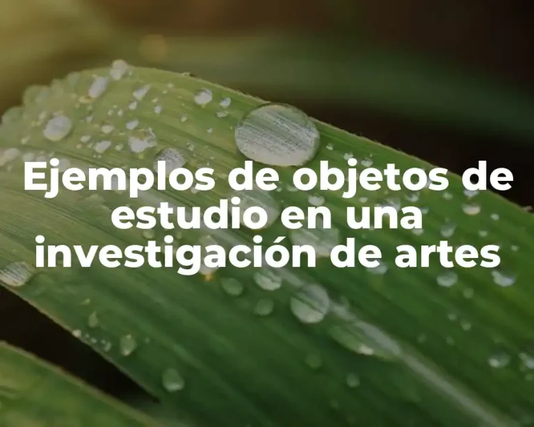 Ejemplos de objetos de estudio en una investigación de artes
