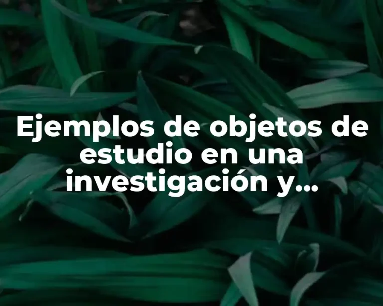 Ejemplos de objetos de estudio en una investigación y Significado
