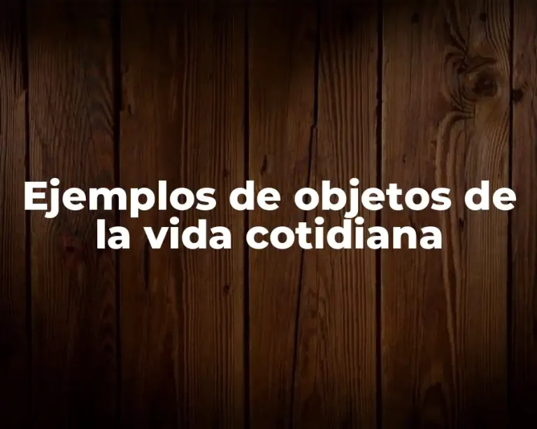 Ejemplos de objetos de la vida cotidiana
