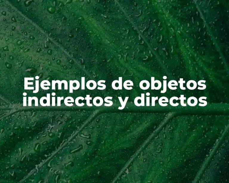 Ejemplos de objetos indirectos y directos