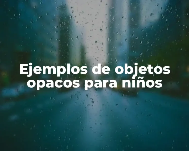 Ejemplos de objetos opacos para niños