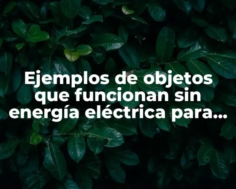 Ejemplos de objetos que funcionan sin energía eléctrica para niños
