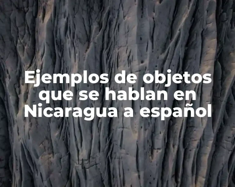 Ejemplos de objetos que se hablan en Nicaragua a español
