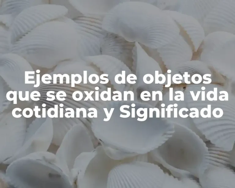Ejemplos de objetos que se oxidan en la vida cotidiana y Significado