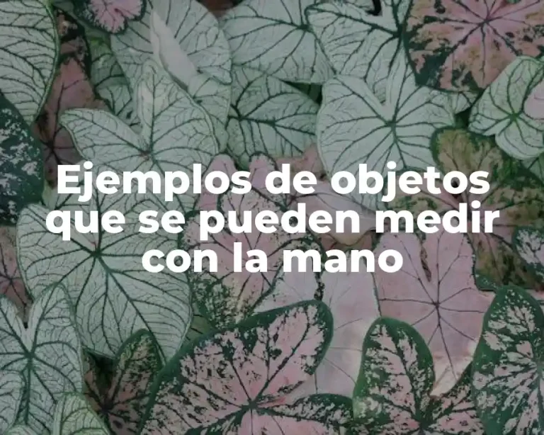 Ejemplos de objetos que se pueden medir con la mano