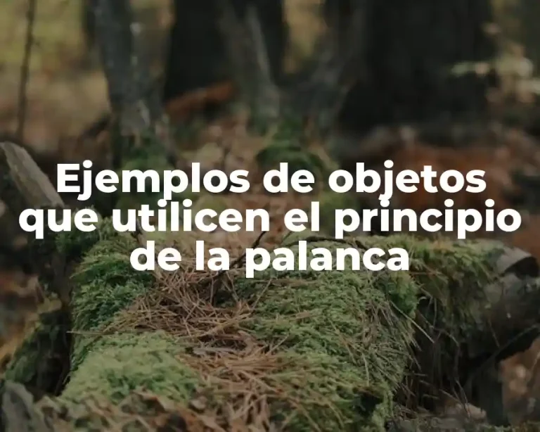 Ejemplos de objetos que utilicen el principio de la palanca