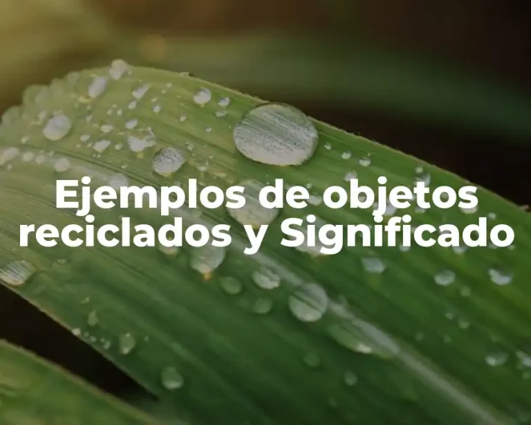 Ejemplos de objetos reciclados y Significado