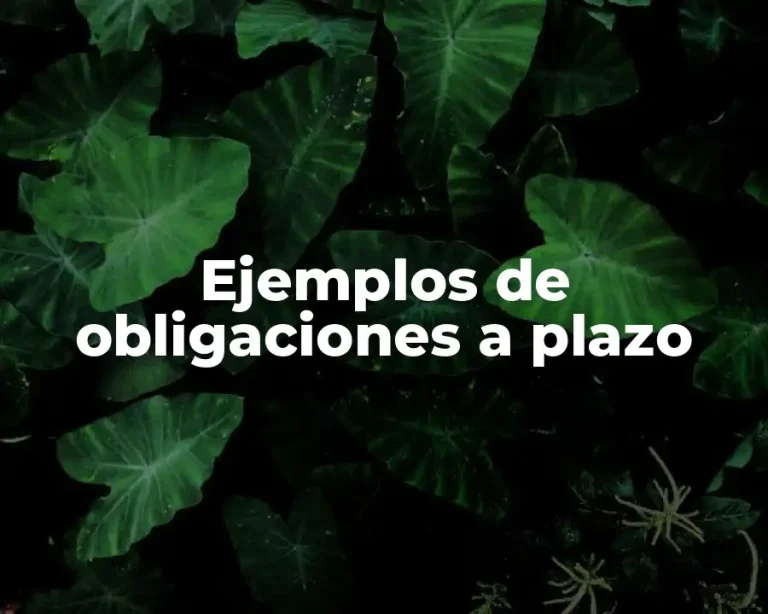 Ejemplos de obligaciones a plazo
