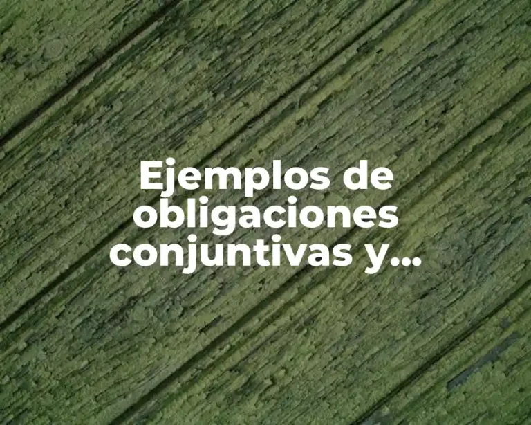 Ejemplos de obligaciones conjuntivas y alternativas