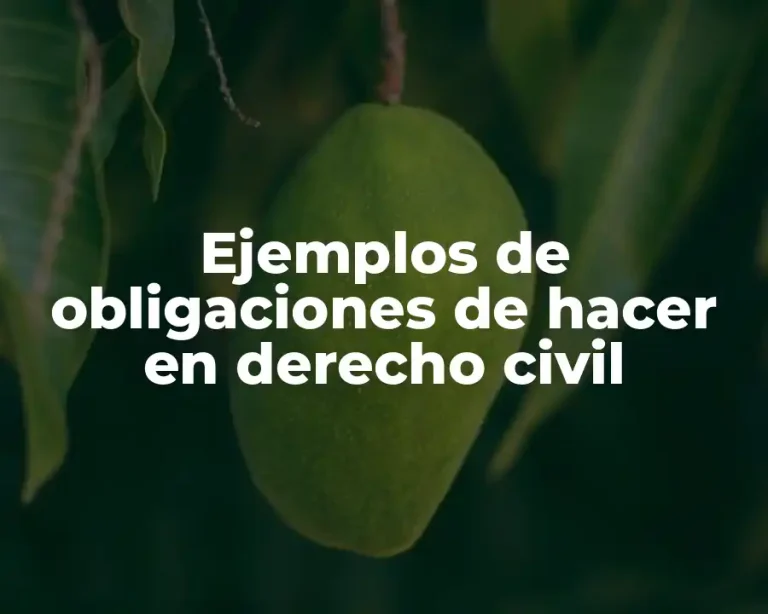 Ejemplos de obligaciones de hacer en derecho civil
