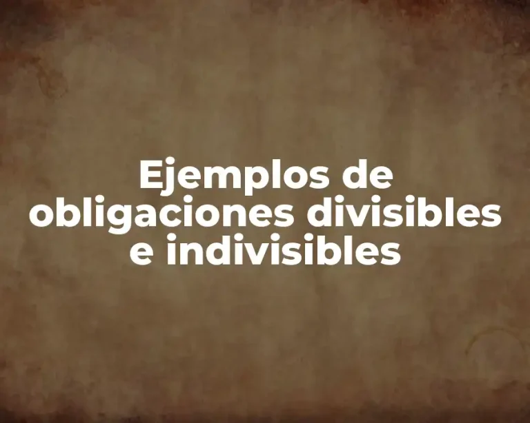 Ejemplos de obligaciones divisibles e indivisibles