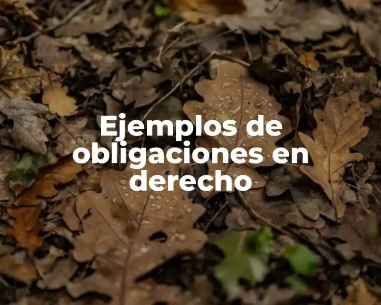 Ejemplos de obligaciones en derecho