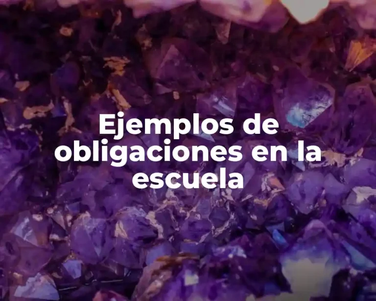 Ejemplos de obligaciones en la escuela