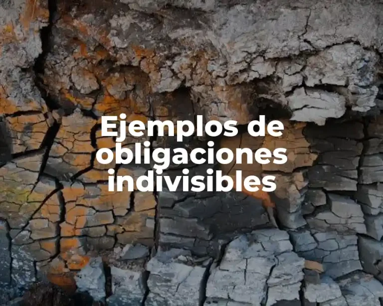 Ejemplos de obligaciones indivisibles