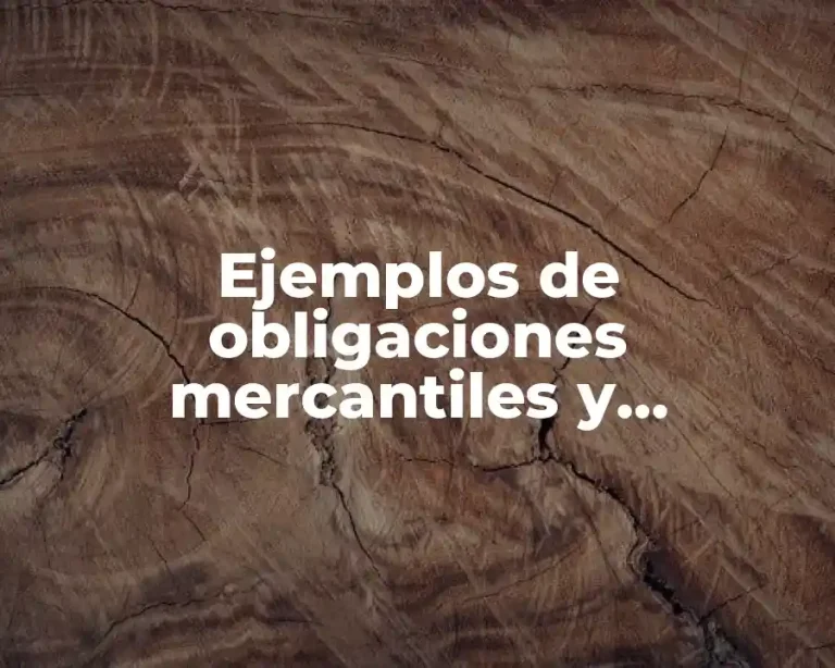 Ejemplos de obligaciones mercantiles y Significado