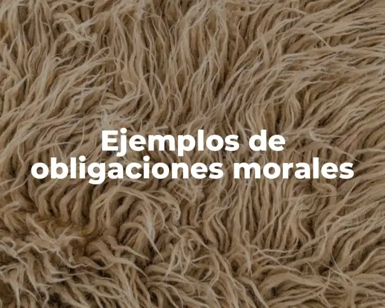 Ejemplos de obligaciones morales