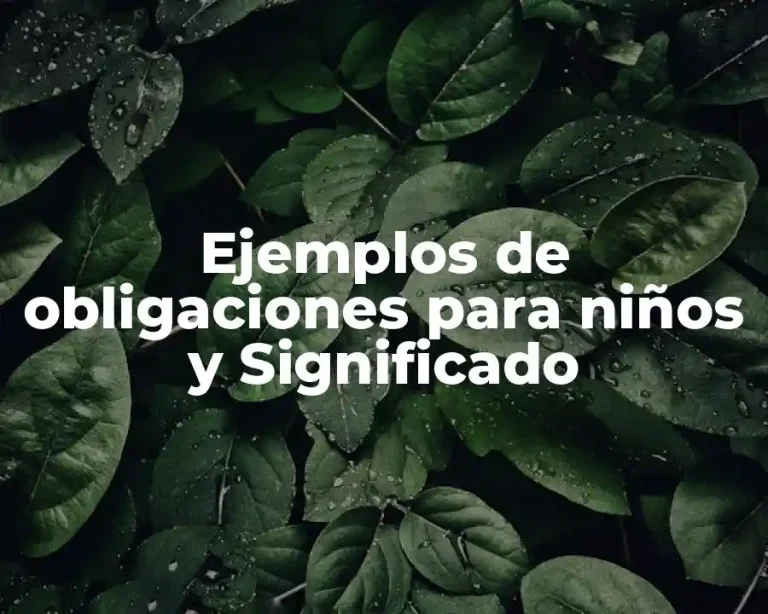 Ejemplos de obligaciones para niños y Significado