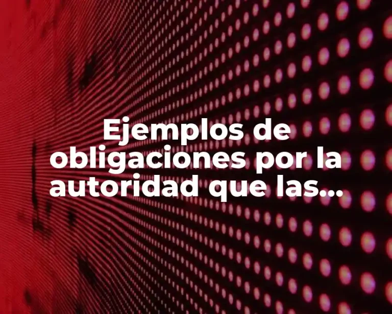Ejemplos de obligaciones por la autoridad que las sanciona