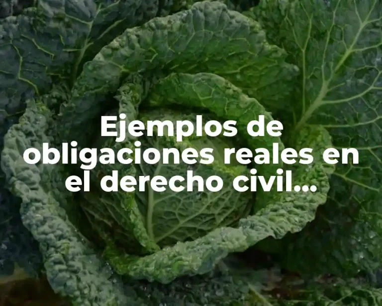 Ejemplos de obligaciones reales en el derecho civil mexicano