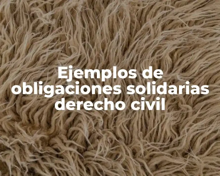 Ejemplos de obligaciones solidarias derecho civil